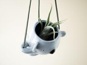 Planteur d'air Koala Forme D'escalade Koala <span class=keywords><strong>Jardinière</strong></span> Suspendue tenir Usines D'air ou Succulentes - Product Image 2