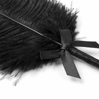 Baguette érotique en plumes d'autruche noire pour femmes, accessoires de préliminaires et de flirt pour couples, produits sexuels pour adultes Yusheng En stock