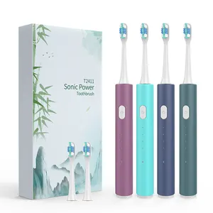 Electric Toothbrush with Water Flosser Combo in One Rechargeable Sonic Flossing Toothbrush with 4 Teeth Cleansing Ways