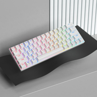 Mini 60% Gaming Keyboard RGB Backlit Compact Keyboard Ergonomic Mechanical Feel Office Mechanical Keyboard for Game