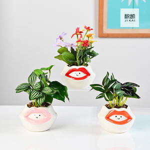 सिरेमिक प्यारा कार्टून पशु रसीला बर्तन हाथ से चित्रित ओपल पांडा व्यक्तिगत रचनात्मक बगीचे बर्तन - Product Image 6