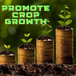 Engrais en poudre à base d'extrait d'algues pour le contrôle des maladies racinales, l'amélioration des sols, organique avec oligo-éléments - Product Image 4