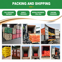 Poudre de Pigment Rouge Oxyde de Fer en Vrac – Approvisionnement Direct Usine pour Peintures, Ciment, Caoutchouc, Plastiques – Oxyde de Fer Rouge Haute Pureté