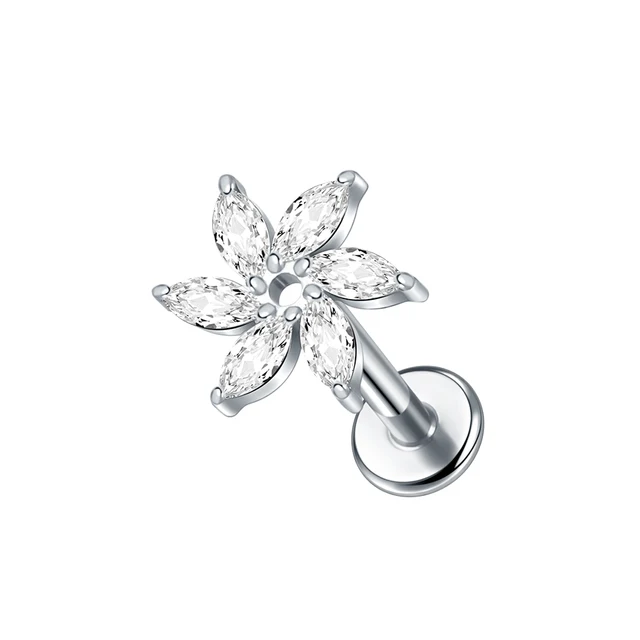 Tc120 - couleur argent