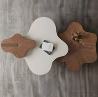Table Basse Nuage Moderne de Luxe Léger Italien, Ensemble de Tables Basses Créatives Irrégulières, Plateau en Bois Personnalisable Écologique pour Salon
