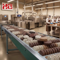 Ligne de production de Choco Pie en acier inoxydable haute capacité HG, four de cuisson automatique, laminoir à pâte, mélangeur, stérilisateur alimentaire 500 kg/h