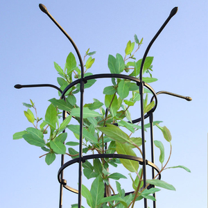 Nouvelle structure de soutien pour plantes grimpantes de type parapluie, pour roses, clématites, cage à tomates de 14 mm de diamètre pour plantes <span class=keywords><strong>en</strong></span> <span class=keywords><strong>pot</strong></span> grimpantes - Product Image 3