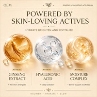 Crème pour le visage au ginseng rouge OEM, acide hyaluronique, anti-rides, liftante, nourrissante, revitalisante, hydratant coréen pour la peau, 50g