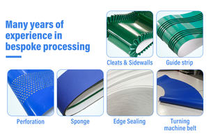 Nastro Trasportatore in <span class=keywords><strong>PVC</strong></span> Resistente all'Usura per Macchine Sigillatrici di Bagagli e Cartoni - Product Image 4