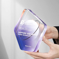 Trophée en cristal gravé UV personnalisé avec dégradé de couleurs, récompenses pour les employés exceptionnels, trophée d'honneur personnel
