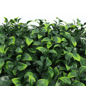Panneaux muraux de <span class=keywords><strong>haie</strong></span> de buis artificiels 50*50cm Eco PE-Fausse <span class=keywords><strong>haie</strong></span> verte pour une intimité instantanée - Product Image 2