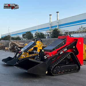 वाटेक मिनी स्किड स्टीड यूरो 5 एपा गैसोलीन 1000 किलोग्राम स्किड स्टीड-इन पाइप और सिलेंडर - Product Image 1