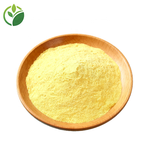 工場供給 大量 100% 純粋なドリアンパウダー ドリアンフルーツパウダー ドリアンエキス粉末 凍結乾燥ドリアンフルーツパウダーエキス - Product Image 3