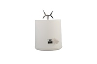 Presse-agrumes portable rechargeable en gros Mélangeur de jus fraîchement pressé Mini presse-agrumes de sécurité personnelle