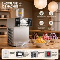 Machine à glace électrique de qualité supérieure pour flocons de neige, machine à Bingsu pour les confiseries et les entreprises de restauration 220F