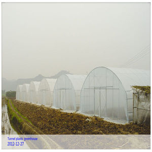 Serre agricole en plastique galvanisé <span class=keywords><strong>à</strong></span> structure résistante pour tomates, poivrons et concombres - Product Image 4