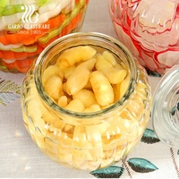 Bocal de rangement en verre transparent avec couvercle Récipient alimentaire de grande taille pour usage en cuisine pour biscuits Spaghetti Haricots Cornichon Bouteille de stockage