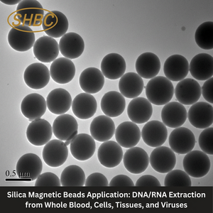 Silica-Magnetperlen für Nukleinsäure-Extraktion Genomische <span class=keywords><strong>DNA</strong></span>/RNA-Reinigung Siliziumhydroxyl-Oberflächenbeschichtete Perlen - Product Image 2