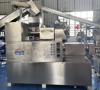 Ligne de production de savon à lessive de petite taille, 100 à 250 kg par heure