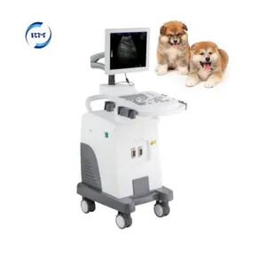 Top Quality Full digital diagnostic System ultrasound Machine Portable Ultrasound scanner