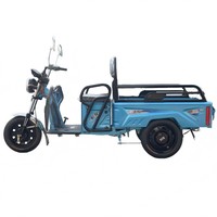 Pas cher 48V/60V 500W Bleu Petit 1.2m Tricycles électriques ouverts avec siège arrière pour le fret et les passagers