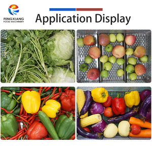 Lavadora de Ozono Ultrasónica de Acero Inoxidable WASC-10, Máquina Comercial para Lavar Frutas y Verduras con Bomba, Capacidad de 200-300 kg/h - Product Image 5
