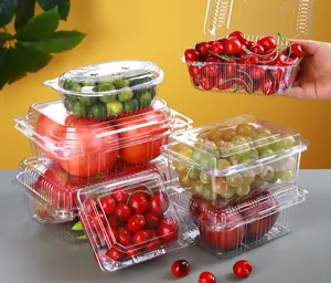 Fruit and Vegetable Packaging Box Apple Container Small PS PET Clear Plastic Disposable Transparent Custom Cake Logo Industrial