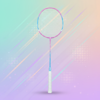 Raquette de badminton de qualité professionnelle, en acier, avec manche en PU léger, de haute qualité, durable, pour joueurs avancés, entraînement en intérieur/extérieur