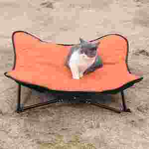 Lit pliable pour chien, lit surélevé pour animaux de compagnie, respirant, avec coussin en peluche amovible, sac de transport, lit de camping pour chien - Product Image 1