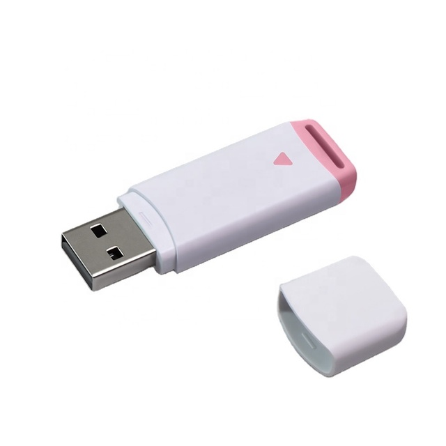 Factory Direct Sale Plastic USB Memory Stick Custom Gift USB Drive Bulk Promotional Gift Memorias Usb Flash Drive Pendrive