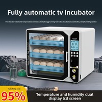 Petit incubateur de poulets domestique entièrement automatique intelligent avec lit d'eau, modèle FHQ1007, design rectangulaire pour poussins