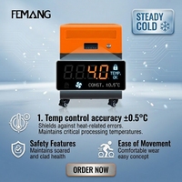Pompe à eau à compresseur pour bain de glace à température constante Fengmang, contrôle de précision 0,5°C, affichage numérique, portable, rapide, pour la maison
