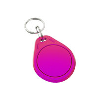 Clé Intelligente Mini RFID/NFC Étanche SIKA SK10021 avec Puce Personnalisée pour Contrôle d'Accès Hôtelier, Compatible OEM/ODM