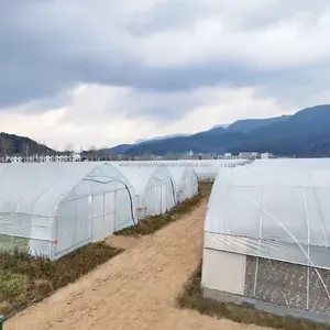 공장 직접 판매 농업 온실 프레임 플라스틱 필름 단일 스팬 터널 온실