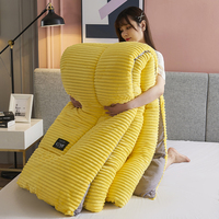 Ensemble de literie couette épaisse couette hiver ensembles de couette en velours literie ensembles de couettes en velours