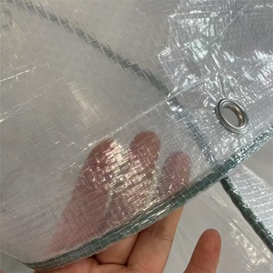 Bâche en plastique agricole transparente en PE de <span class=keywords><strong>200</strong></span> <span class=keywords><strong>microns</strong></span>, film tissé <span class=keywords><strong>pour</strong></span> <span class=keywords><strong>serre</strong></span>, couverture de pluie <span class=keywords><strong>pour</strong></span> verger, vente en gros - Product Image 1