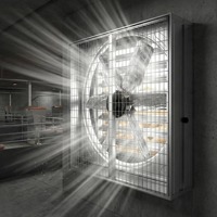 Ventilador de Extracción de Presión Negativa de Alta Calidad de 1380 mm para Gallineros, Invernaderos, Fábricas, Talleres, Ventilación y Refrigeración, OEM ODM