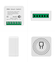 Module de commutation WiFi miniature Tuya 16A DIY, module de relais d'automatisation de la maison intelligente à 2 voies, fonctionne avec l'application Smart Life, Alexa, Google Home