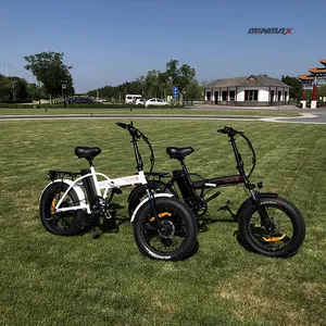 MINGMAX-Elektro fahrrad Bausatz mit Dick reifen, E-Bikes, 20*4.0-Zoll, 48V, 1000W, 10Ah