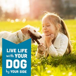 Friandises à mâcher souples OEM/ODM sous marque privée pour chiens – Alimentation pour animaux de compagnie, supplément à mâcher aux herbes et probiotiques pour la santé intestinale, la peau et le cœur - Product Image 4