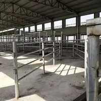 Offre Spéciale – Tube Carré Peint ASTM A500 SHS RHS en Acier Anti-Corrosion pour Entrepôt, Structure Métallique Préfabriquée, Atelier, Bâtiment CE