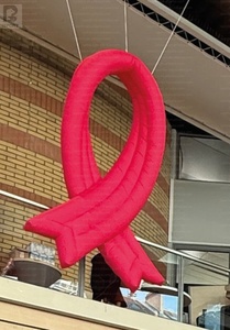 ริบบิ้นสีแดงเป่าลมขนาดใหญ่ รุ่นโบว์สีแดงเป่าลม พร้อมไฟ LED ส่องสว่างเพื่อสร้างความตระหนัก สำหรับแคมเปญสุขภาพ/กิจกรรมสาธารณะ/โปรโมชั่น - Product Image 6