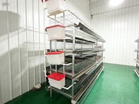 Cage à poulets de type H moderne, cage standard pour volailles, équipement d'élevage fiable pour les fermes moyennes et grandes, nouveau système en treillis métallique