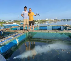 Promotion : Cages flottantes en PEHD pour aquaculture en eau de mer, filets anti-oiseaux pour prédateurs, élevage de Tilapia, haute résistance et durabilité - Product Image 1