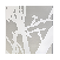 Panneaux muraux perforés en métal et aluminium avec des motifs uniques pour les murs d'accent intérieurs | Fournisseur direct d'usine