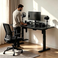 Meubles de bureau ergonomiques réglables en hauteur, bureau d'ordinateur électrique à moteur unique, table de jeu simple à hauteur réglable