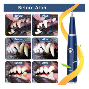 Ultrasonik diş ölçekleyici yedek kafaları köpek Pet ev kullanımı diş beyazlatma cihazları Tartar matematik temizleyici Pet ev tarafından - Product Image 3