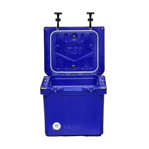 Store Your Foods & Drinks in Cooler Box (40 Liters) Export Grade from Thailand Wholesale from Factory Special Price