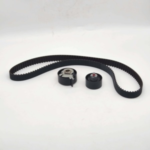 Kit <span class=keywords><strong>de</strong></span> <span class=keywords><strong>courroie</strong></span> <span class=keywords><strong>de</strong></span> <span class=keywords><strong>distribution</strong></span> moteur 0831.R9 0831.L2 0831.L3 1643637980 pour 206 307 1.6 16v 0831R9 0831L2 0831L3 - Product Image 4