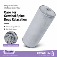 Oreiller cervical gonflable cylindrique avec housse en velours cristal, oreiller de traction cervicale portable pour la maison et les voyages